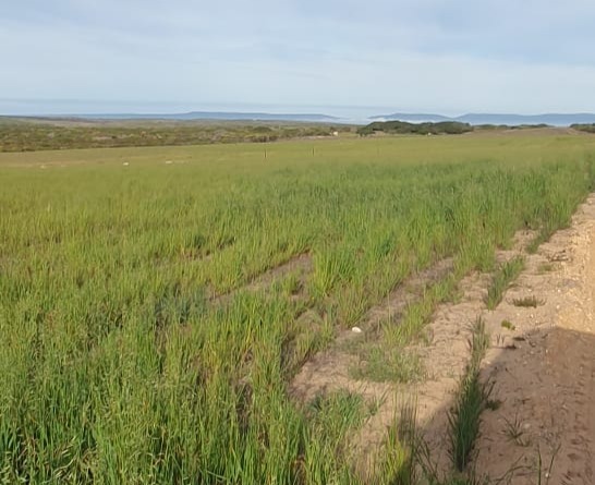 0 Bedroom Property for Sale in Riversdale Rural Western Cape